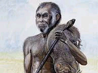 Homo floresiensis,     El Mundo