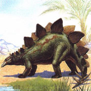 Stegosaurus -         